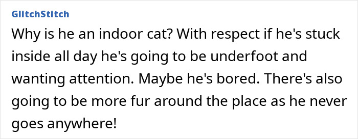 Comment discussing an indoor cat&rsquo;s behavior, boredom, and fur concerns related to refusing to let rehome cat.