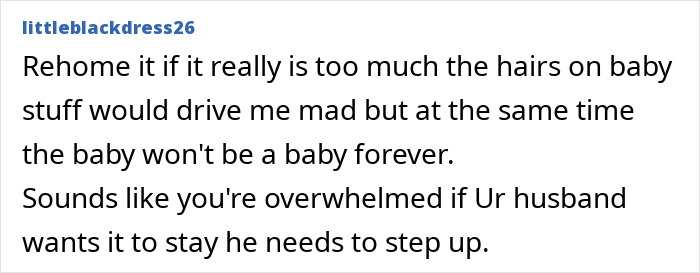 Comment discussing rehome cat due to overwhelming hair and need for husband to help with pet care.