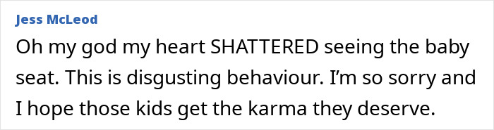 Comment by Jess McLeod expressing shock and sorrow over baby seat incident related to fire extinguisher prank on infant.