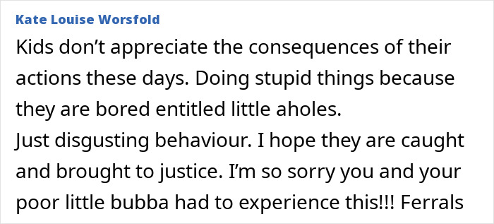 Comment expressing anger about teens' fire extinguisher prank causing harm to a 5-month-old baby rushed to hospital.