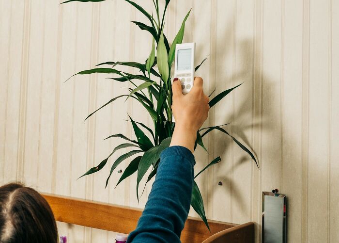 Woman over 42 adjusting air conditioner remote near a green plant in a cozy indoor setting.