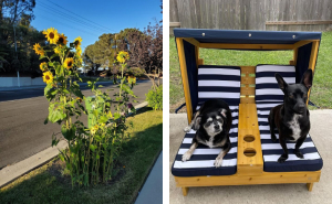 21 Of The Best Gardening Finds To Take Your Game To The Next Level