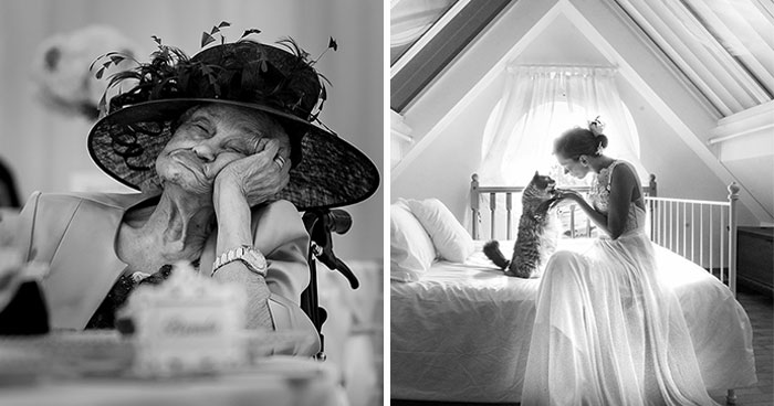 Bored Panda Community Shared 40 Must-See Wedding Shots That Tell A Story