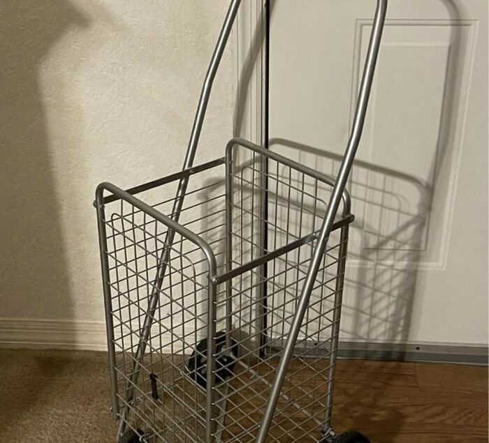 Metal wire shopping cart with wheels and handle, one of the everyday items under $300 that improved people’s lives.