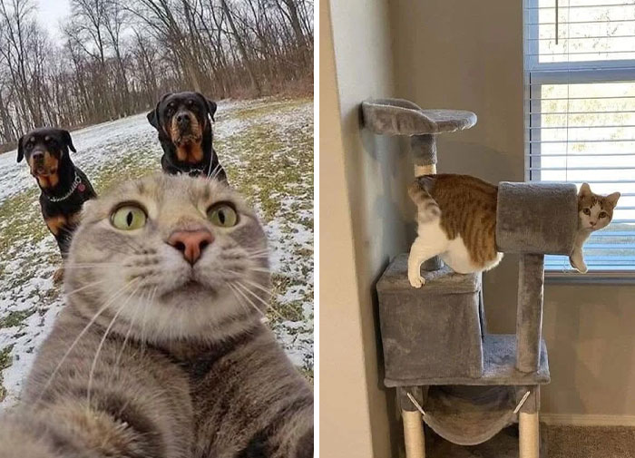 26 Times Animals Were Both Adorable And Nightmare Fuel