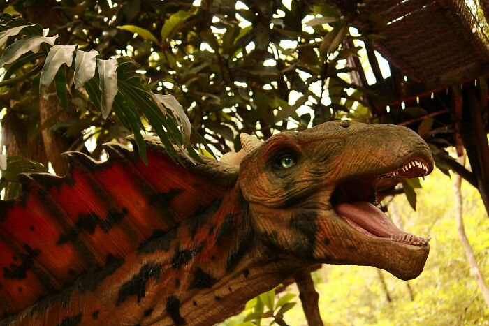 Lifelike dinosaur model with colorful sail and open mouth surrounded by lush forest showcasing dinosaur facts.