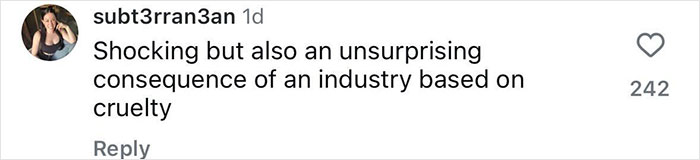Social media comment reacting to cruelty in the fashion industry after cat fur found in vests labeled as wool. Social media comment reacting to cruelty in the fashion industry after cat fur found in vests labeled as wool.