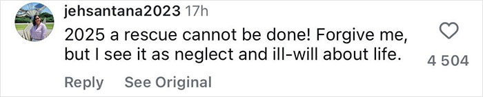 Comment on social media by jehsantana2023 expressing frustration about neglect and hopelessness regarding rescue efforts for a missing female tourist.