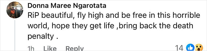Comment expressing sorrow and anger related to human remains found in search for missing teenager Pheobe Bishop. Comment expressing sorrow and anger related to human remains found in search for missing teenager Pheobe Bishop.