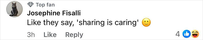 Comment from Josephine Fisalli on social media, featuring cat profile picture and positive engagement icons.