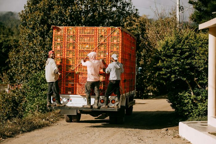 Three men standing on the back of a truck carrying orange crates on a rural dirt road, reflecting truck drivers’ scary moments.