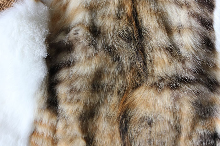 Close-up view of cat fur texture highlighting the controversy over fashion brand using fur instead of wool in vests. Close-up view of cat fur texture highlighting the controversy over fashion brand using fur instead of wool in vests.