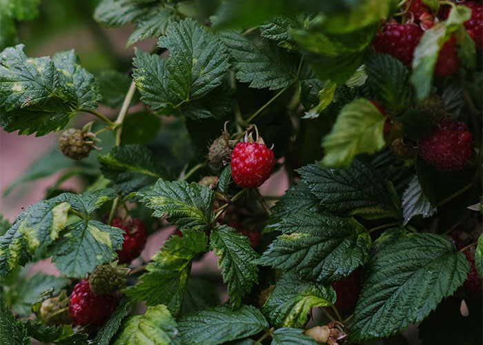 50 Habits And Hacks That People Find So Useful They Would Say They’re Game-Changing