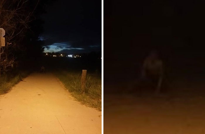 Dark rural road at night with an eerie shadowy figure, illustrating chilling ghost encounters in a spooky setting.