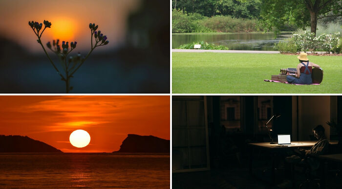 Collage showing a sunset silhouette, person relaxing in a park, ocean sunset, and a person working at a laptop at night.