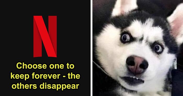 Save One, Sacrifice The Rest: Vote Your Way Through 25 No-Win Scenarios