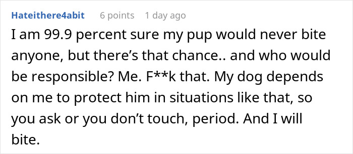 Comment expressing concern over dog safety and refusal to let kids ride the dog, highlighting protective pet ownership.