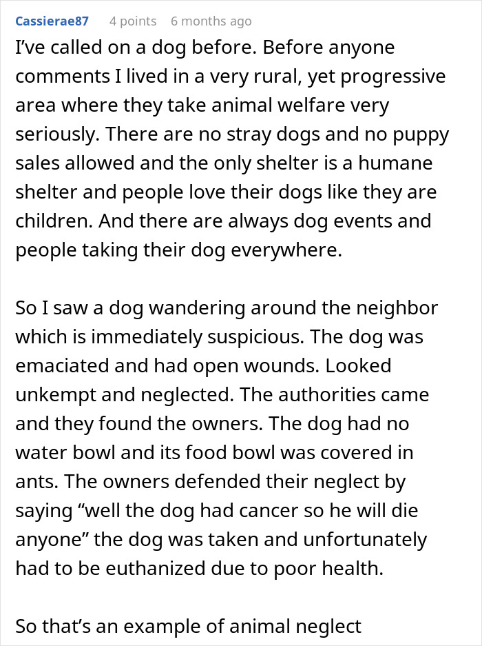 Comment describing a dog neglected with wounds, illustrating a case of animal neglect and control intervention.