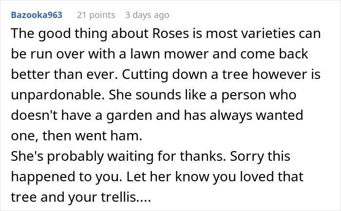 Screenshot of a forum comment discussing a woman&rsquo;s garden being landscaped by her mother-in-law without permission.