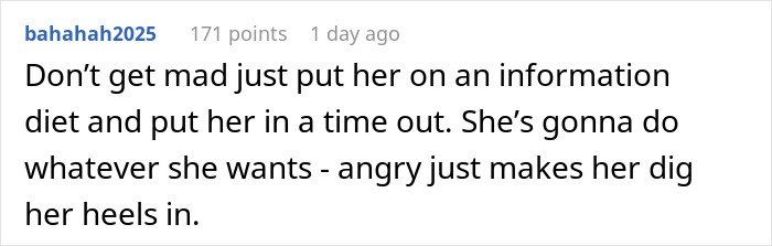 Screenshot of a Reddit comment discussing MIL hijacking pregnancy announcement on Facebook and causing family conflict.