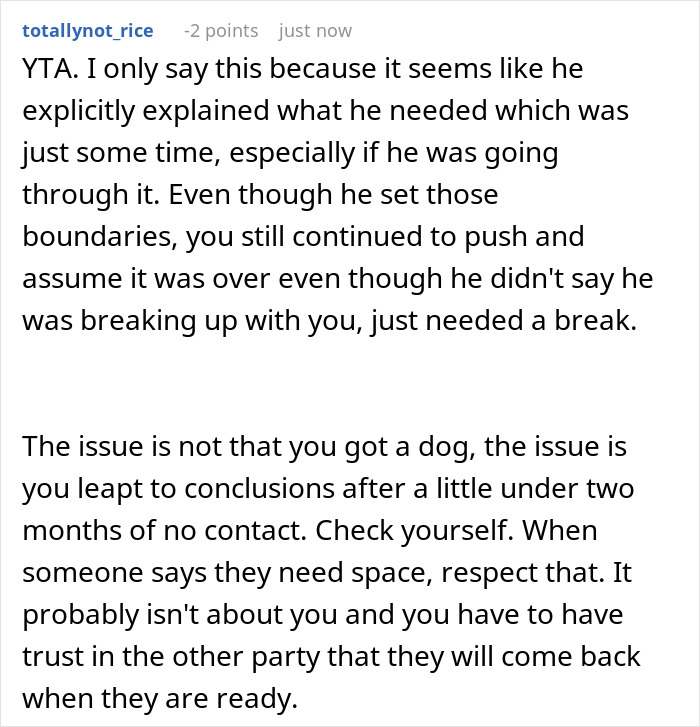 Screenshot of a Reddit comment discussing a man disappearing for weeks and his partner adopting a dog despite his allergy.