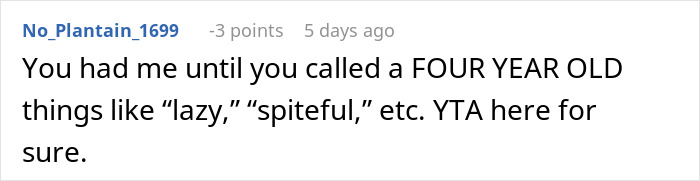 Comment on babysitting chaos, showing user No_Plantain_1699 reacting to a situation involving a four-year-old child. Comment on babysitting chaos, showing user No_Plantain_1699 reacting to a situation involving a four-year-old child.