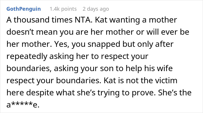Comment discussing daughter-in-law and mother-in-law boundaries, highlighting family sticks together conflict and relationship issues.