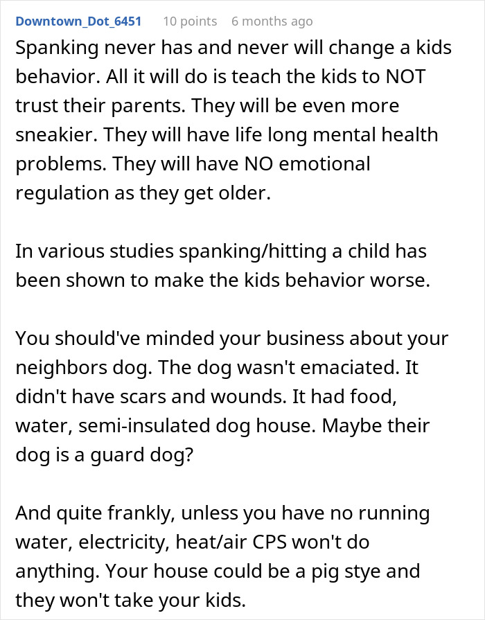 Online comment discussing a neighbor&rsquo;s dog care and the involvement of animal control and CPS in a dispute.