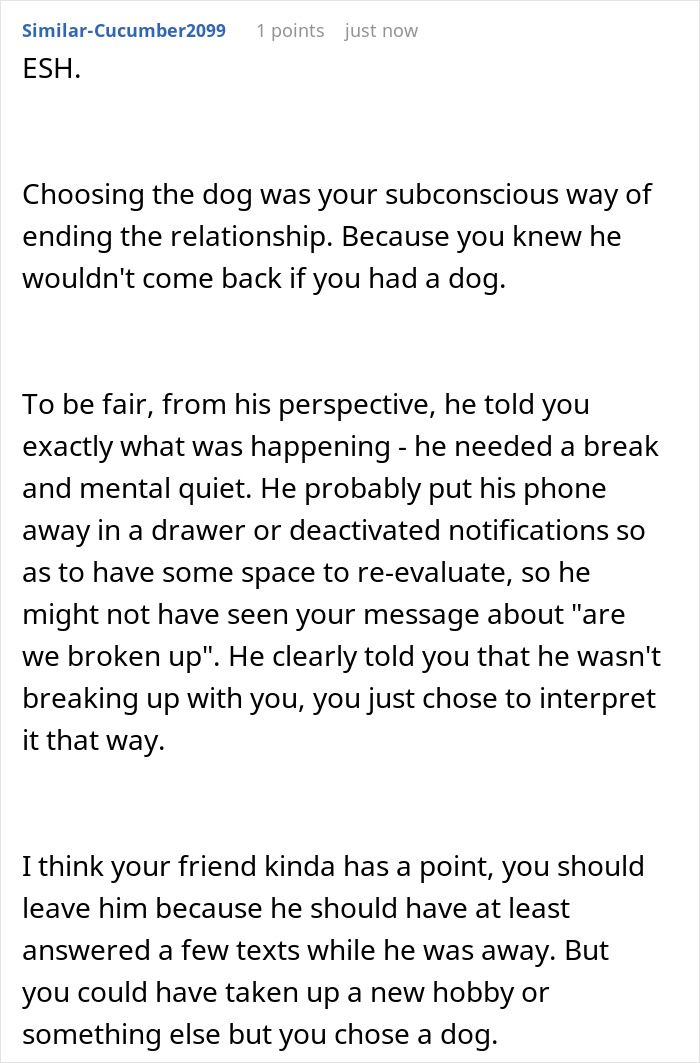 Text post discussing a man disappearing for weeks and partner adopting a dog despite his allergies causing anger.