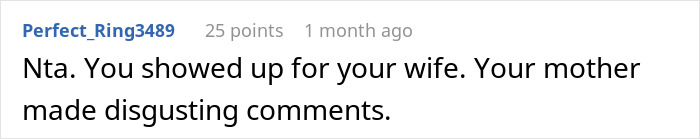 Comment from user Perfect_Ring3489 reacting to a mother-in-law shocked son kicking her out after unhinged pregnancy comments.