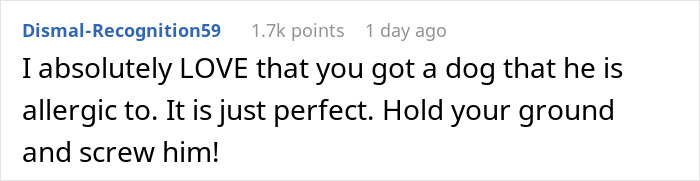 Comment expressing support for adopting a dog despite partner&rsquo;s allergy after man disappears for weeks
