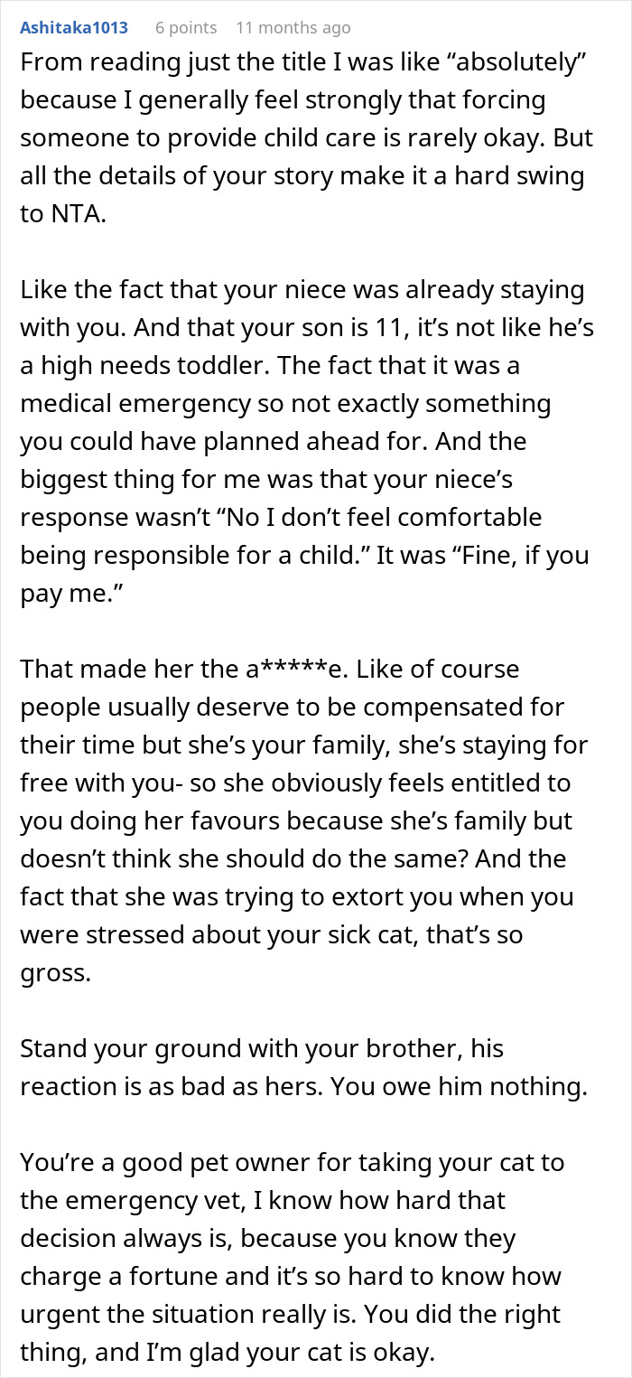 Text excerpt from a Reddit comment discussing a man needing niece to watch 11-year-old son during an emergency.