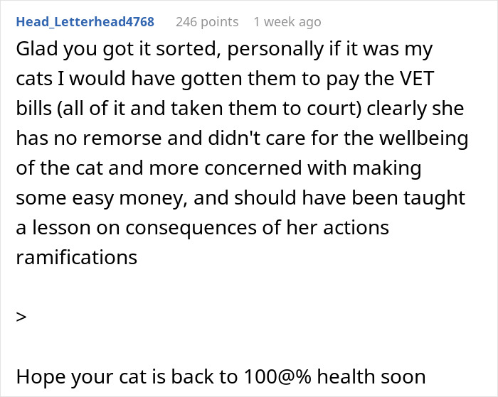 Comment discussing refusal to pay a cat-sitter, emphasizing care for cat wellbeing and actions&rsquo; consequences.