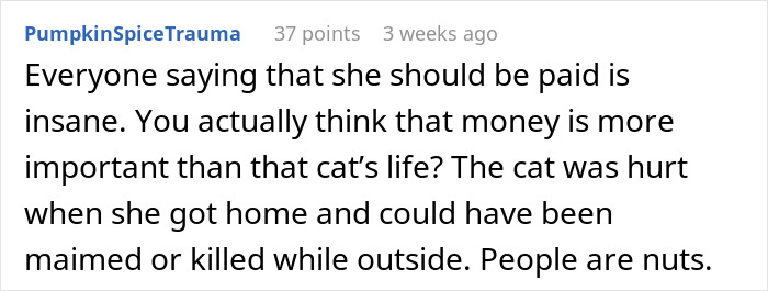 Screenshot of a Reddit comment debating payment and responsibility in a cat-sitter dispute discussion.
