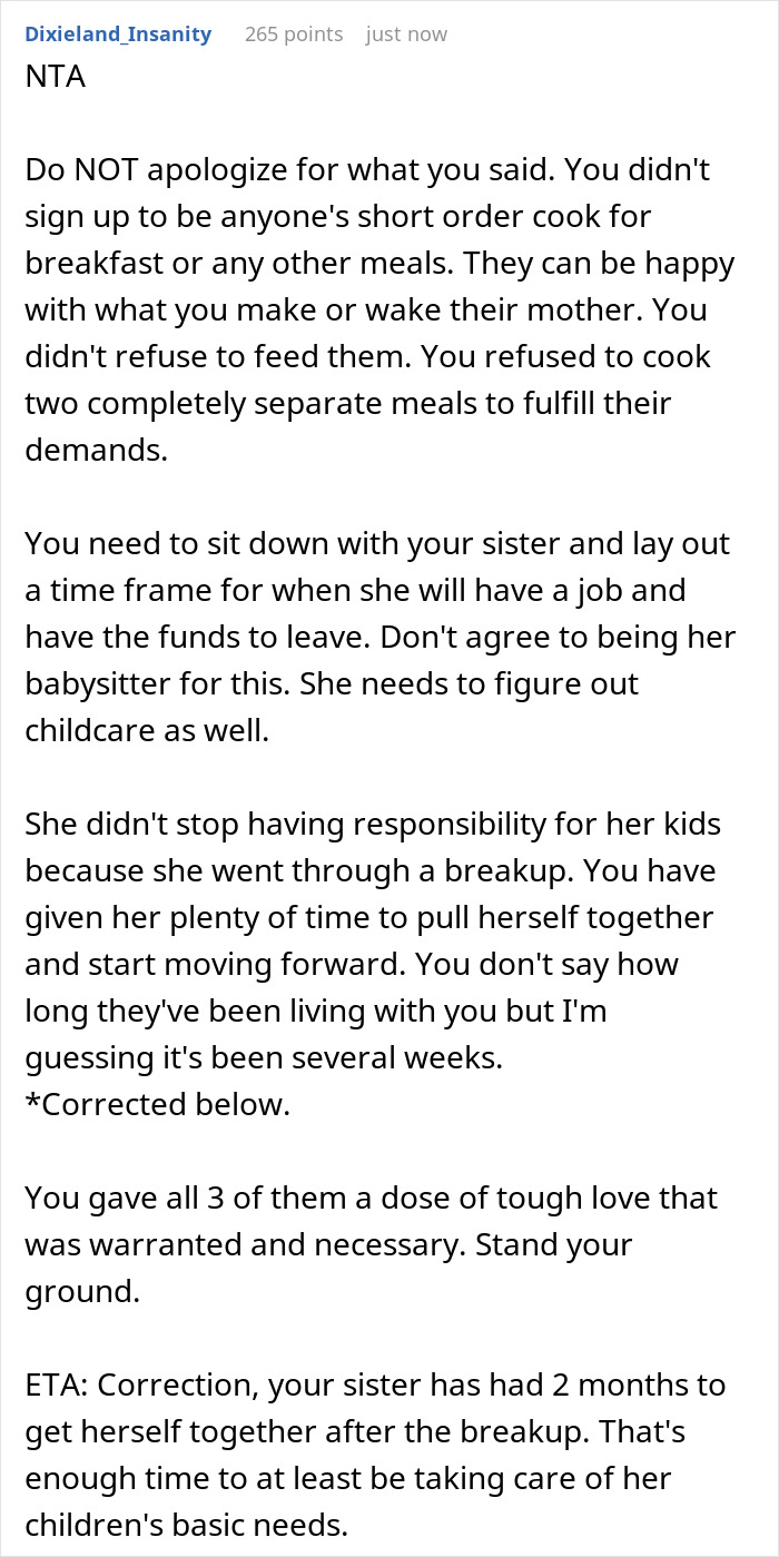 Text from a user explaining boundaries about cooking for sister and her kids, dealing with childcare and responsibilities.
