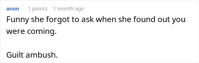 Screenshot of a social media comment about a lady finally visiting family after a year with sister expecting babysitting duties.