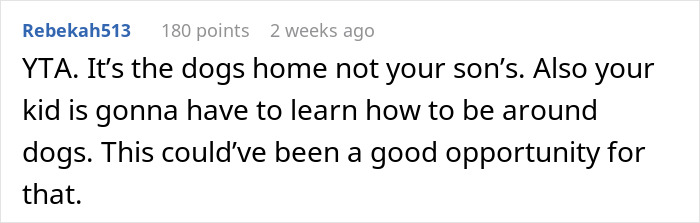 Comment explaining kid birthday mom demand dog locked and teaching child dog boundaries at home.