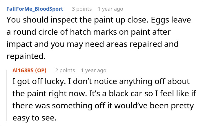 Discussion about inspecting car paint after egg impact, highlighting the need for washing and waxing to protect the vehicle.