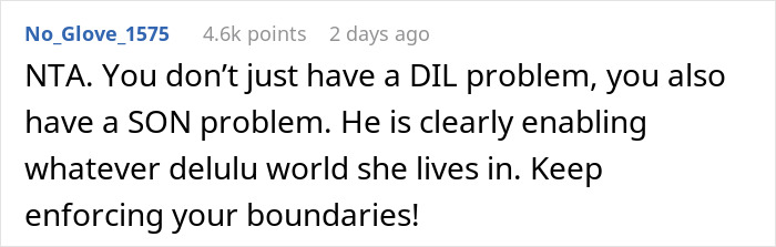 Reddit comment discussing a DIL and MIL relationship issue, focusing on family sticks together and enforcing boundaries.