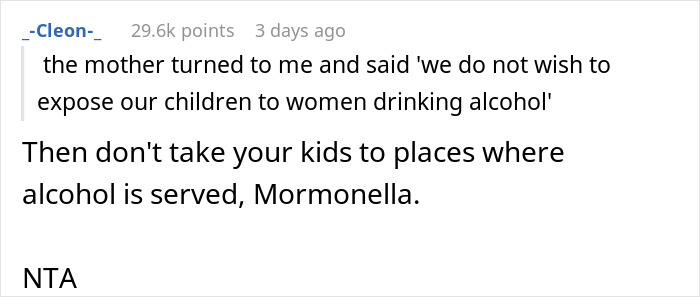 Screenshot of a Reddit comment where a mother asks a solo traveler to stop drinking alcohol around her kids.