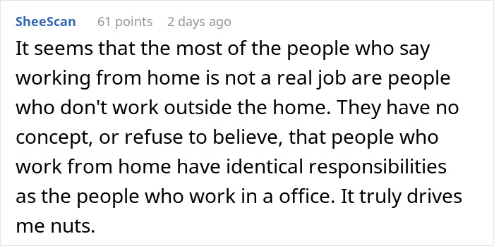 Commenter discussing how people who work from home have the same responsibilities as office workers, expressing frustration.