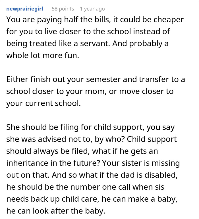 Comment discussing a woman throwing a fit when sibling refuses free babysitting all summer, focusing on family and child care.