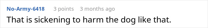 Comment about harm to dog, user No-Army-6418 expressing disgust over animal mistreatment online.