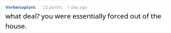 Comment on Reddit discussing a teen refusing to be part of a blended family while stepmom expects babysitting duties.