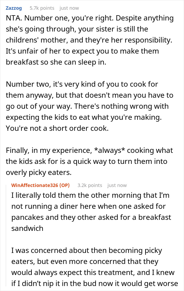 Screenshot of a discussion about a man playing chef for his sister&rsquo;s kids while she sleeps, sharing opinions on responsibilities.