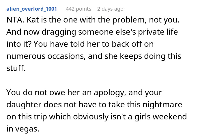 Reddit comment discussing a tense relationship between daughter-in-law and mother-in-law over family and personal boundaries.