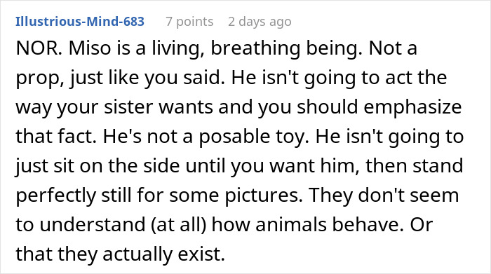 Reddit comment explaining why refusing to lend a dog for a maternity shoot is justified in an aesthetic maternity shoot debate. Reddit comment explaining why refusing to lend a dog for a maternity shoot is justified in an aesthetic maternity shoot debate.