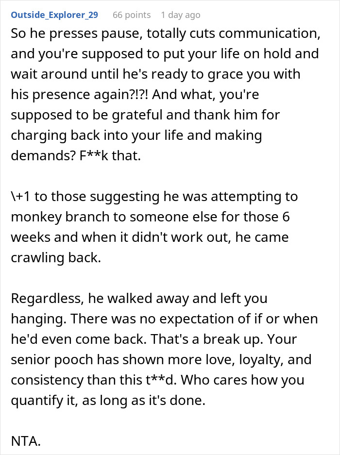 Man disappears for weeks then returns angry after partner adopts dog despite his allergies.