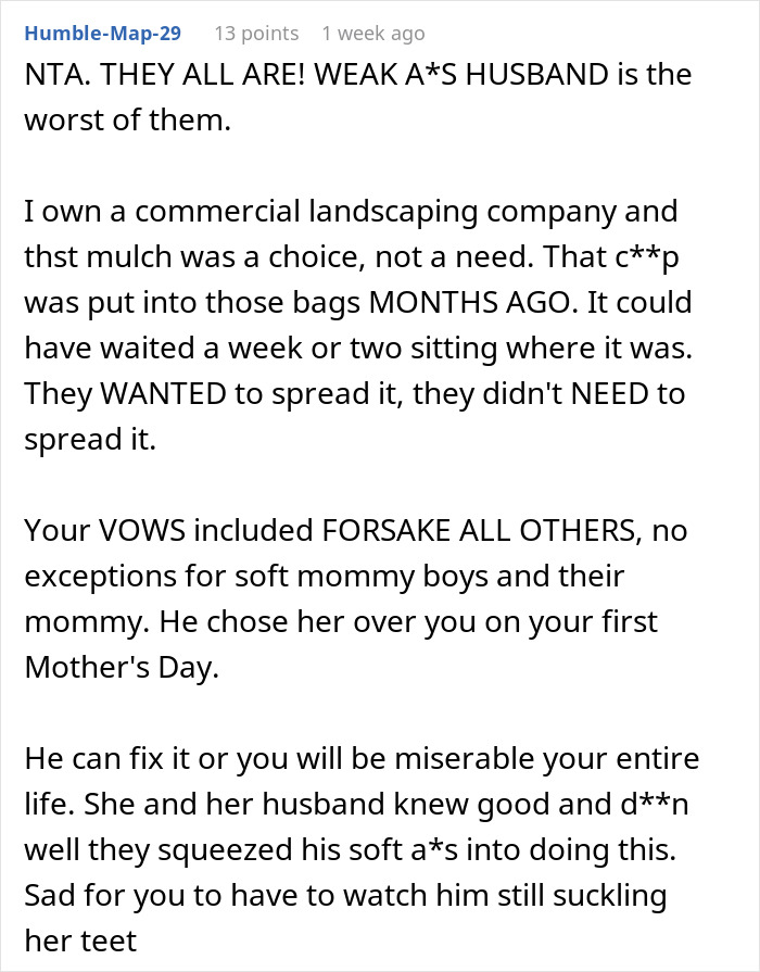 Comment criticizing a husband who skips his wife's first Mother's Day to spend time with his mom, calling him weak.