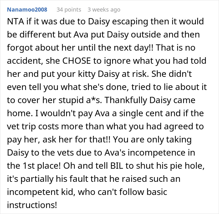 User comment discussing refusal to pay cat-sitter due to negligence risking the cat&rsquo;s safety in a disagreement.